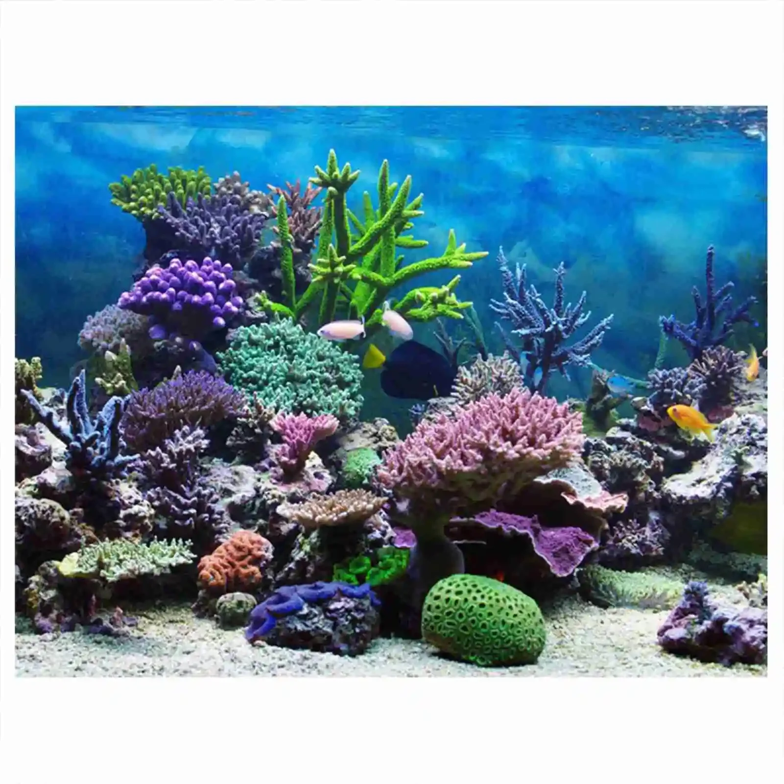 3D 수족관 풍경 포스터 벽지, 열대우림 어항 배경 장 - Aquarium Fish Poster 리뷰 및 가격
