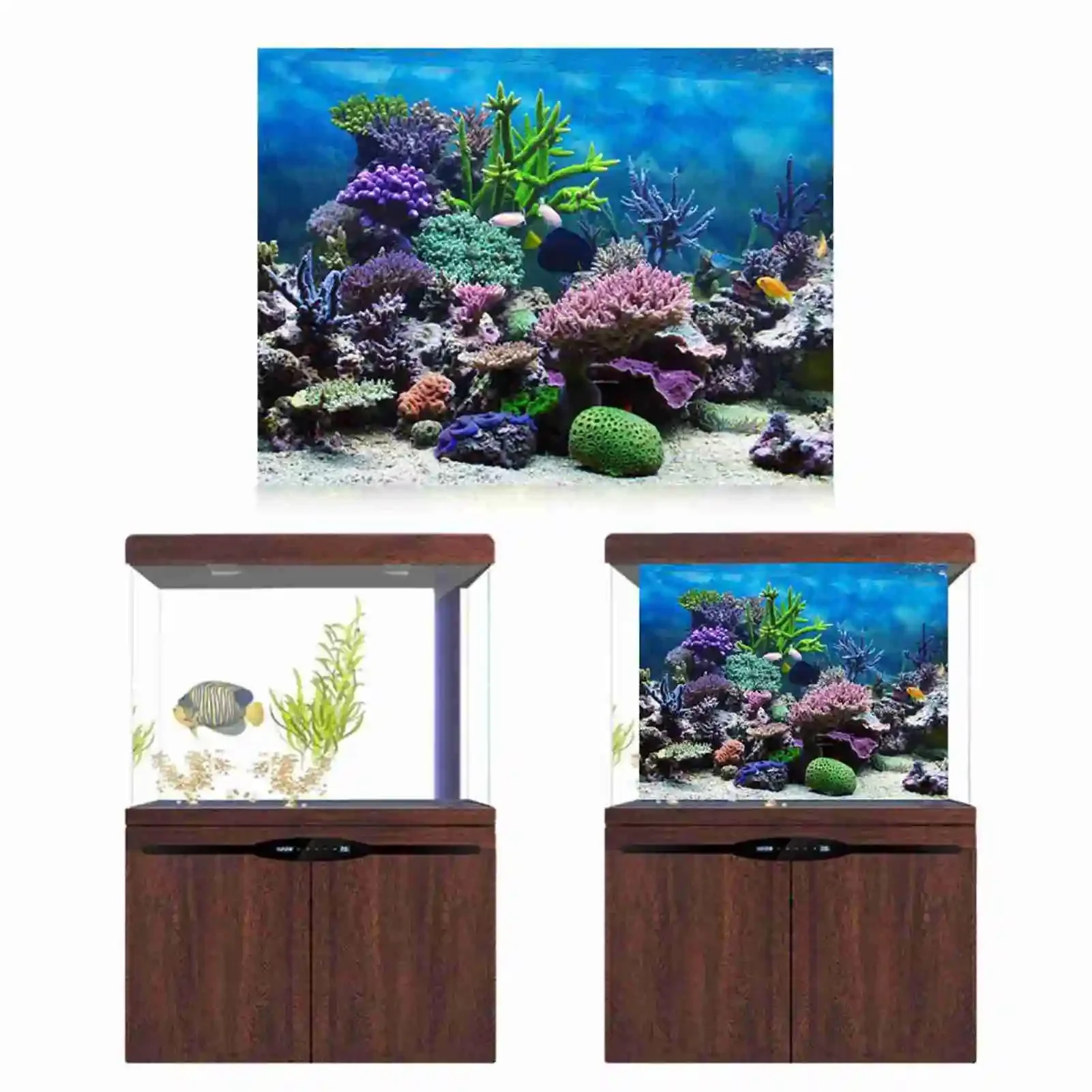 3D 수족관 풍경 포스터 벽지, 열대우림 어항 배경 장 - Aquarium Fish Poster 리뷰 및 가격
