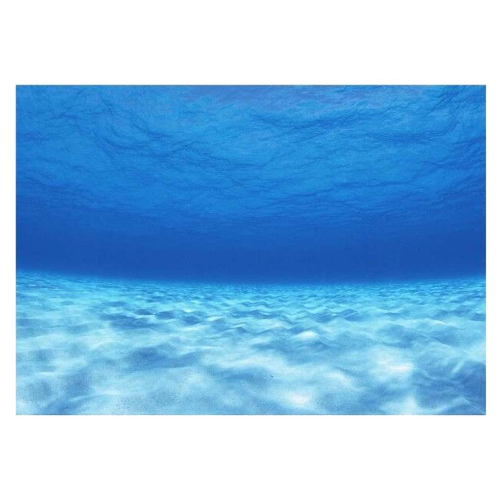 측면 장식용 수족관 배경 포스터 물고기 배경 스티커,  - Aquarium Fish Poster 리뷰 및 가격