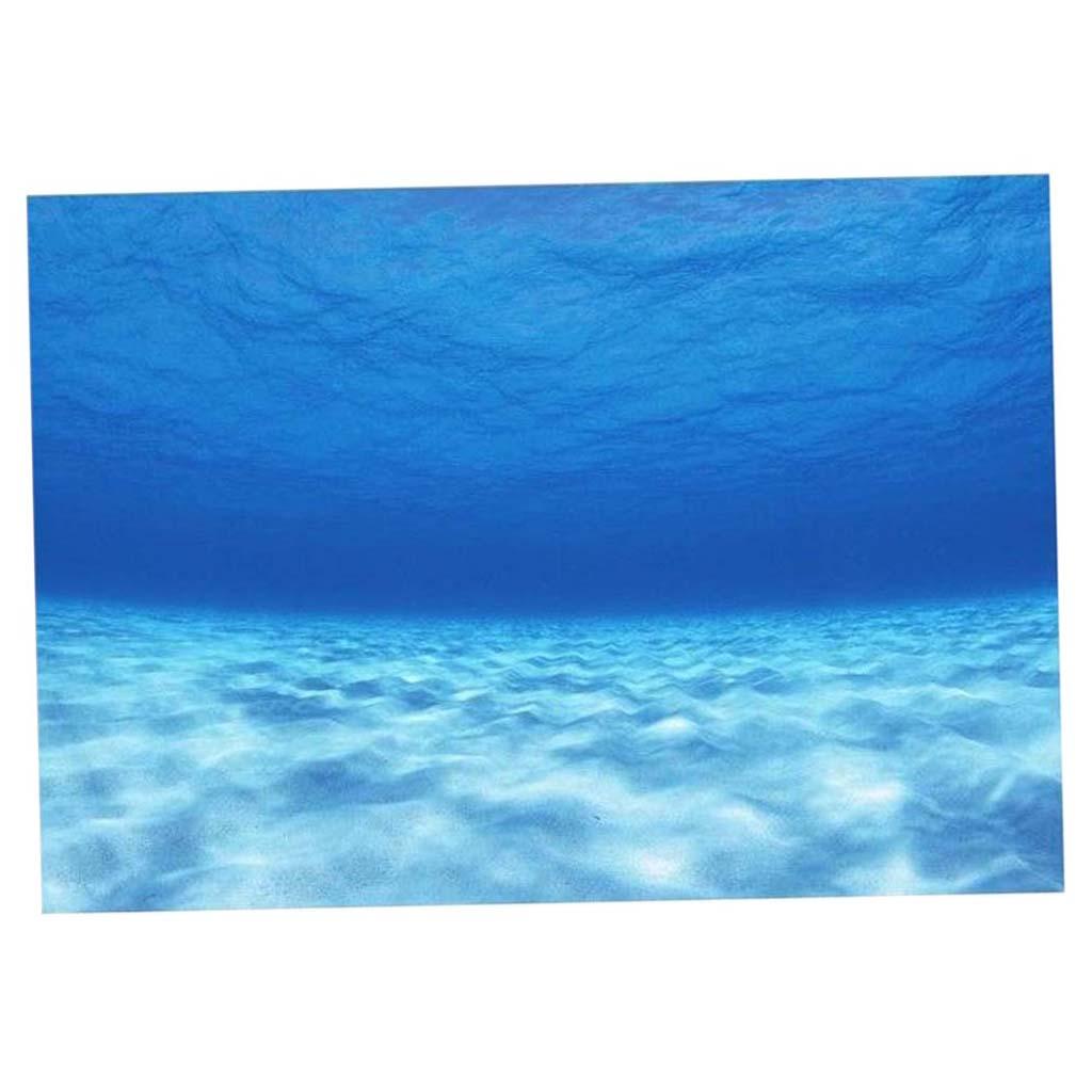 측면 장식용 수족관 배경 포스터 물고기 배경 스티커,  - Aquarium Fish Poster 리뷰 및 가격