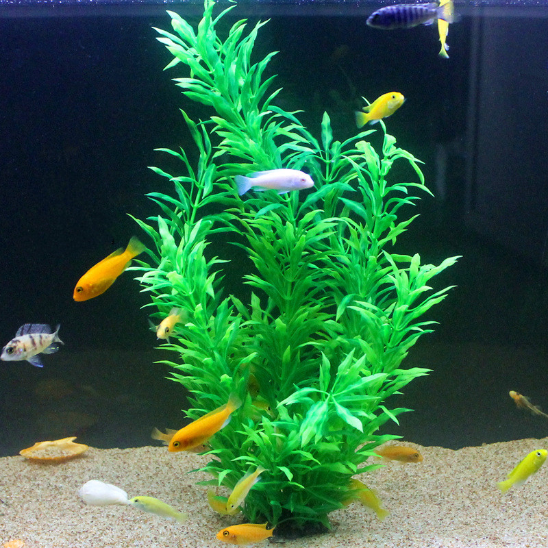 50CM 인조 어항 희귀 식물 수족관 가짜 대나무 잎  - Aquarium Fish Photography 리뷰 및 가격