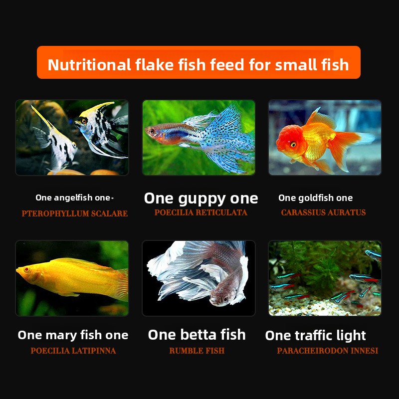 다자와 스피룰리나 플레이크 어류 사료 - 작은 열대어용 - Tetra Food Goldfish Flakes 리뷰 및 가격