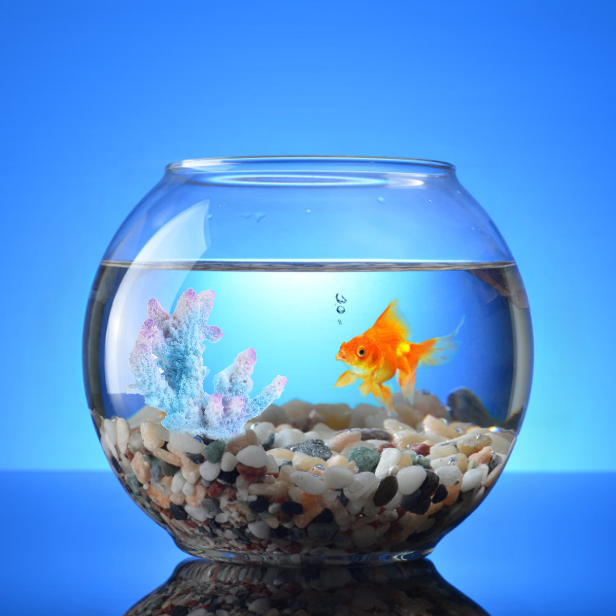 Xl-S1718 생생한 레진 산호 수족관 장식품 어항  - Aquarium Xl 리뷰 및 가격