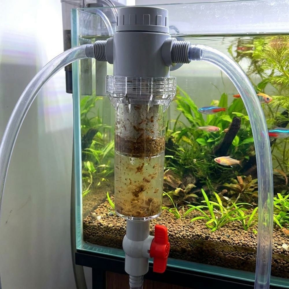 1/2 스레드 수족관 배설물 분리기 정밀 여과 효율적인 - Aquarium Fish Rate 리뷰 및 가격