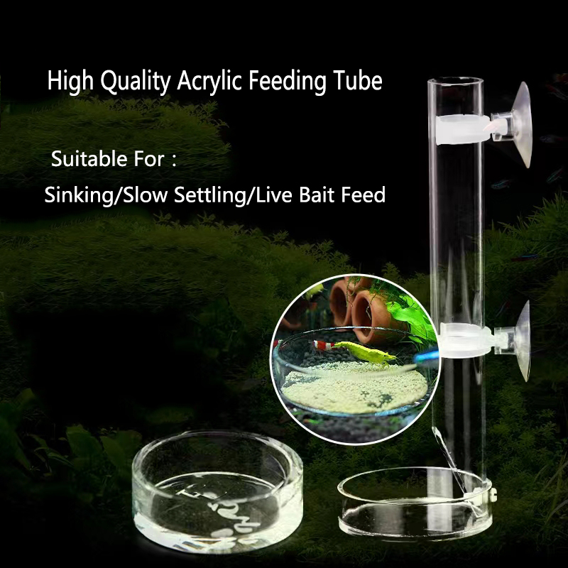 아크릴 수족관 피더 튜브 접시, 투명 어항 새우, 달팽 - Aquarium Fish Price 리뷰 및 가격