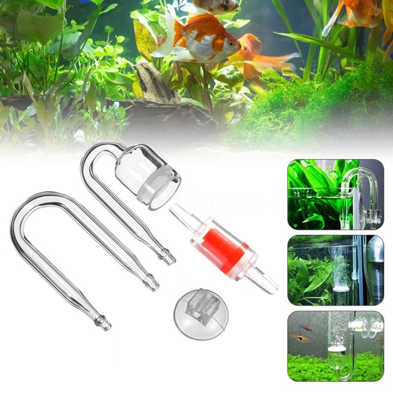 수족관 유리 탱크용 DIY CO2 디퓨저, 버블 반응기 - Aquarium Fish Photography 리뷰 및 가격