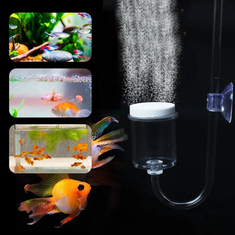 수족관 유리 탱크용 DIY CO2 디퓨저, 버블 반응기 - Aquarium Fish Photography 리뷰 및 가격