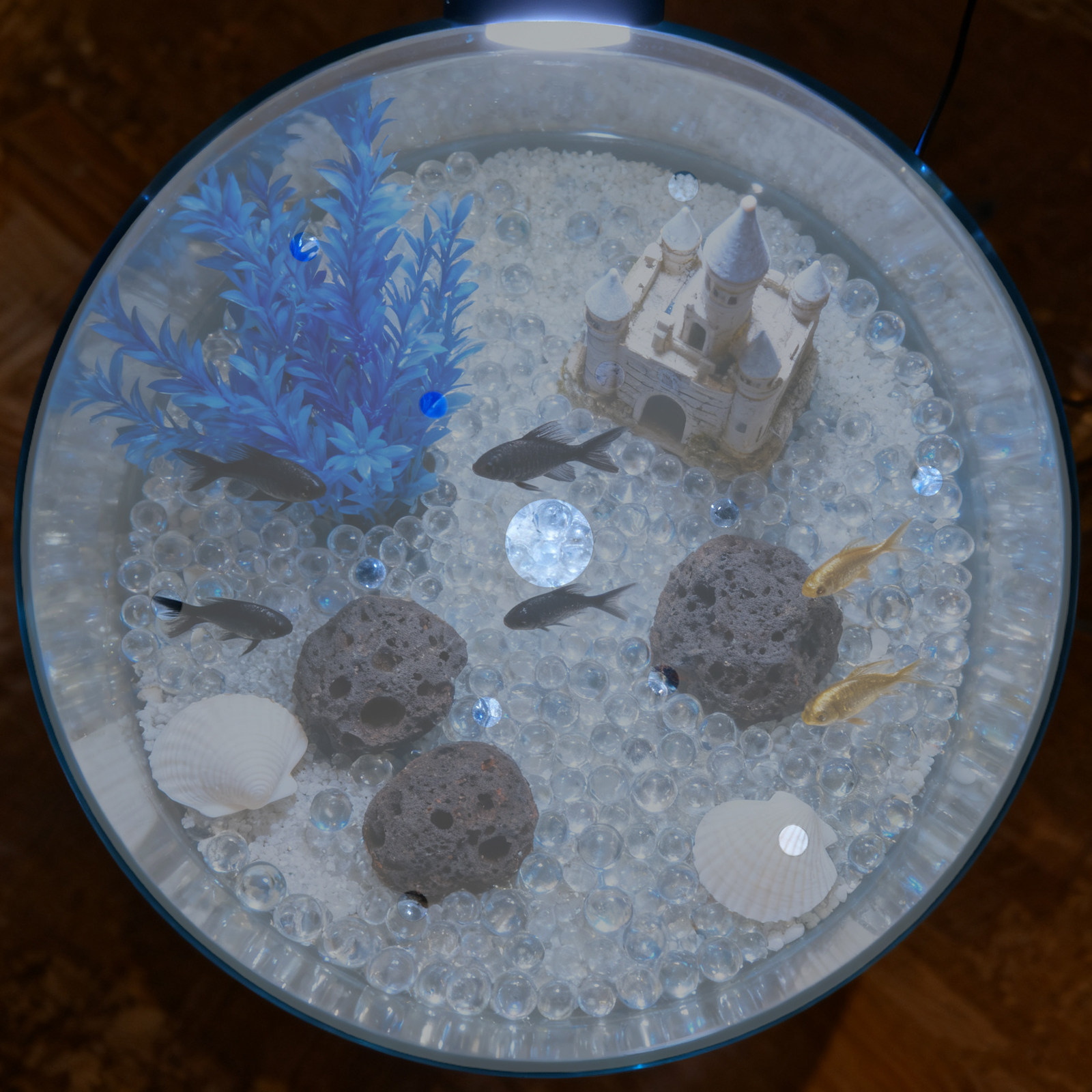 7인치 원형 아크릴 어항 덮개, 탈출 방지 뚜껑, 투명 - Aquarium Fish Escape 리뷰 및 가격